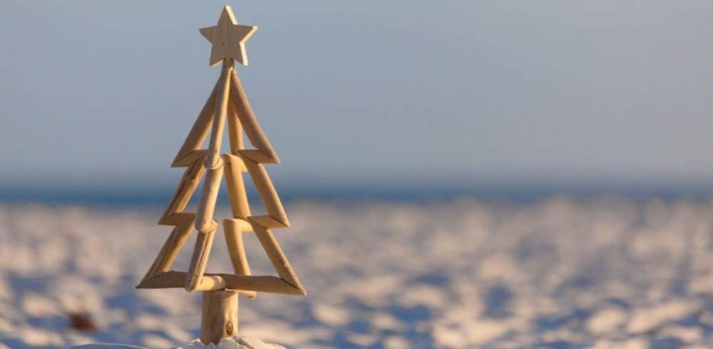 Surviving Christmas