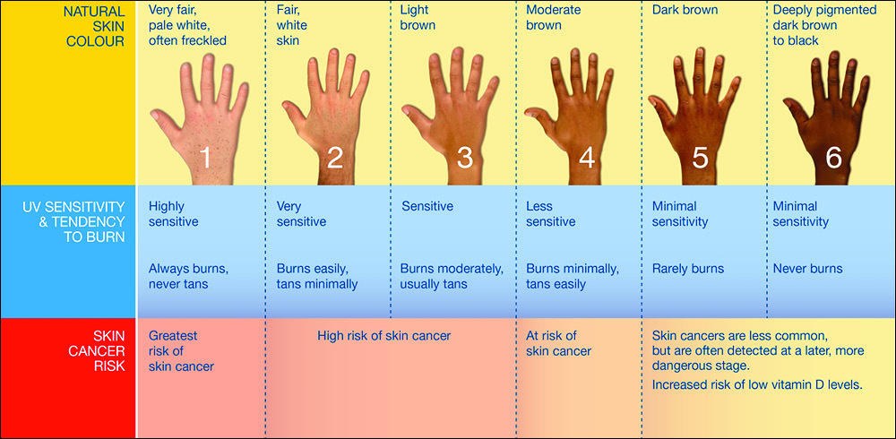 Skin Cancer Types Chart