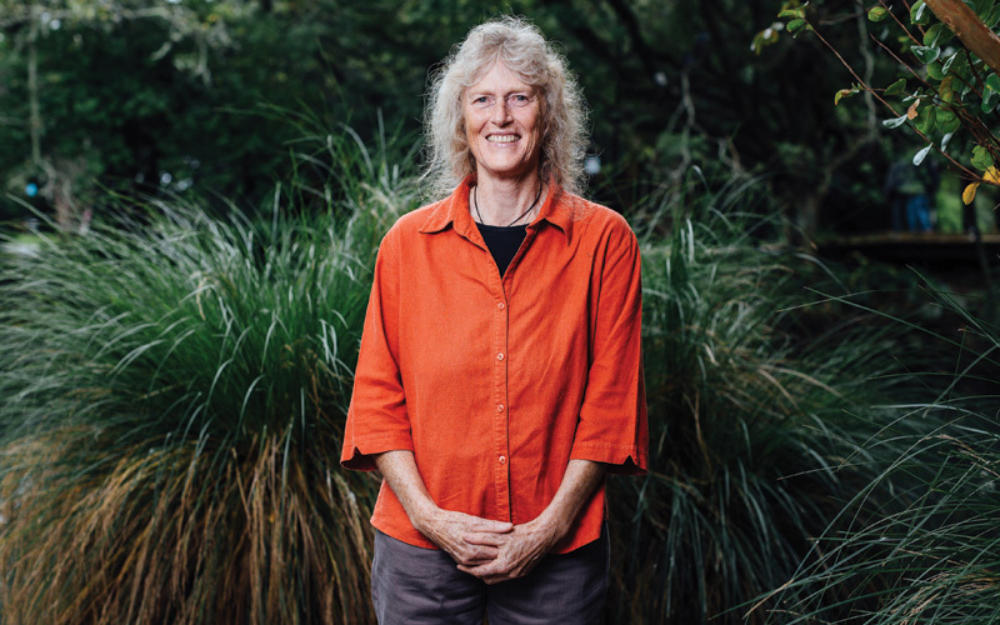 Fay Collins Blog Post
