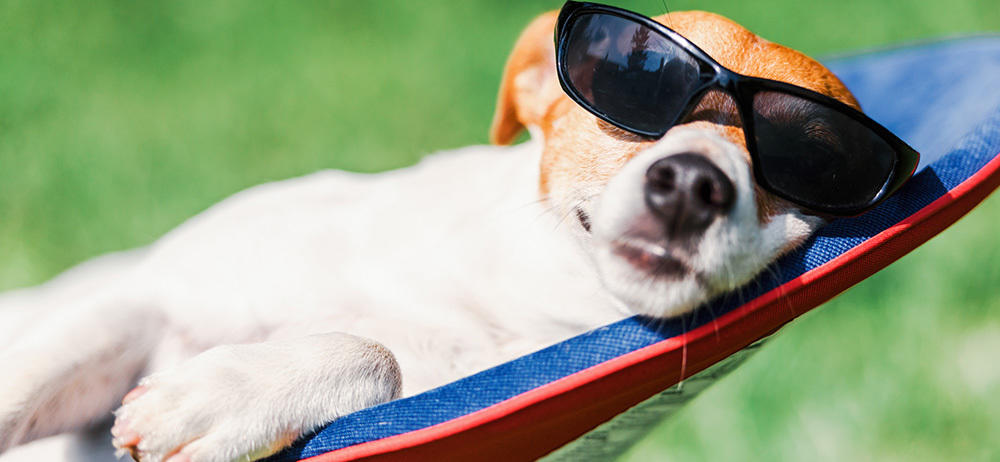 Summer Wellness When Its Hot Chill